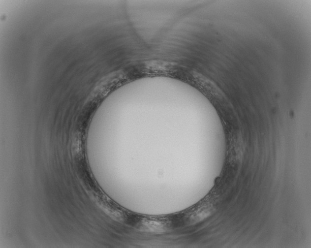 X0000080670706200612301400