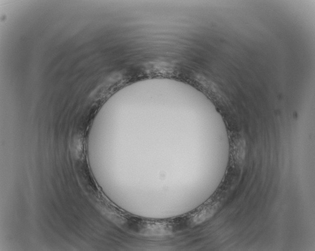 X0000080670709200612301400