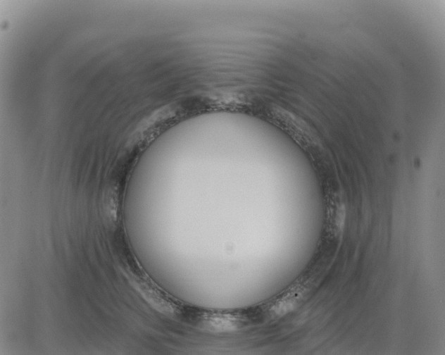 X0000080670710200612301400