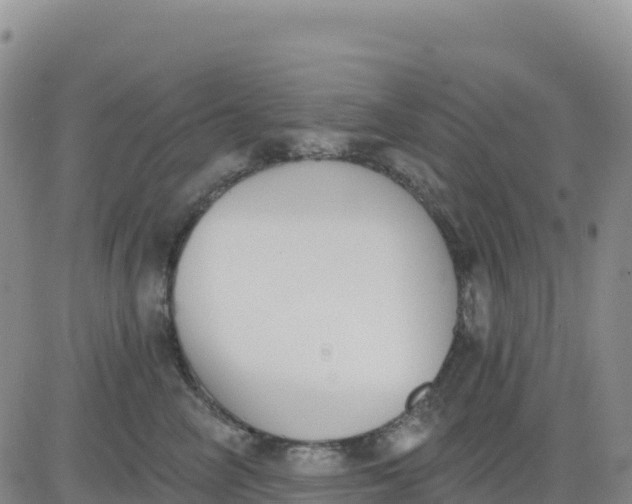 X0000080670714200612301400