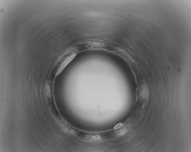 X0000080670715200612301400