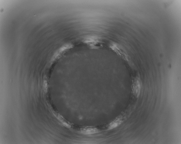 X0000080670716200612301400