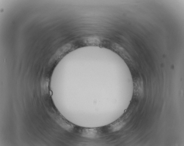 X0000080670717200612301400