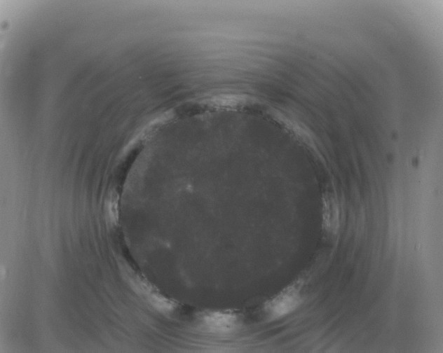 X0000080670718200612301400