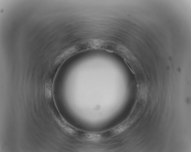 X0000080670719200612301400