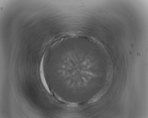 X0000080670720200612301400