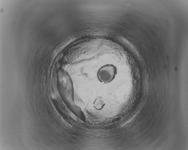 X0000080670721200612301359