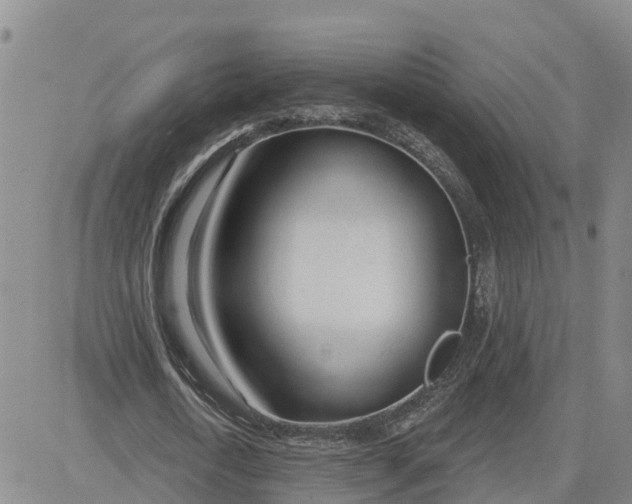 X0000080670722200612301359