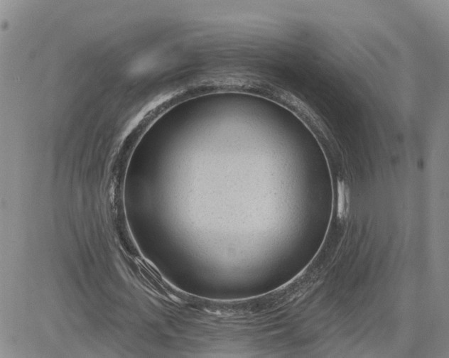 X0000080670723200612301359