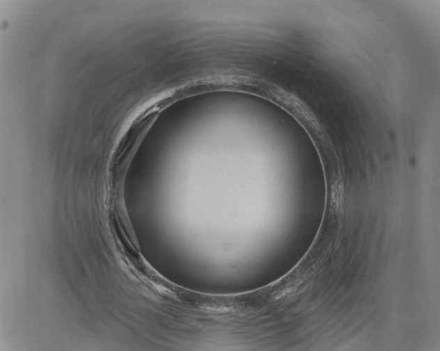 X0000080670724200612301359