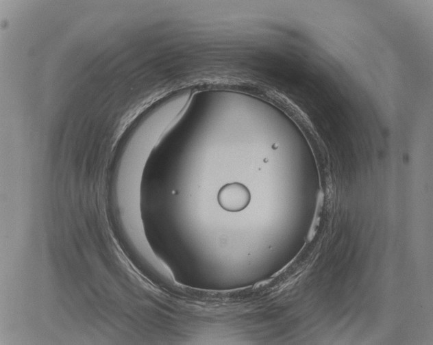 X0000080670725200612301359