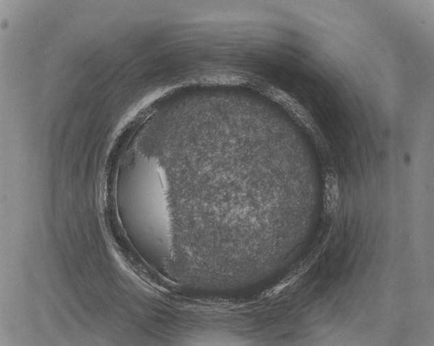 X0000080670726200612301359