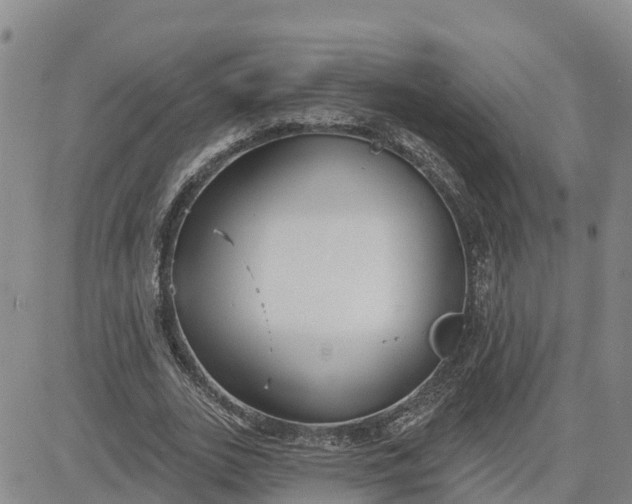 X0000080670727200612301359