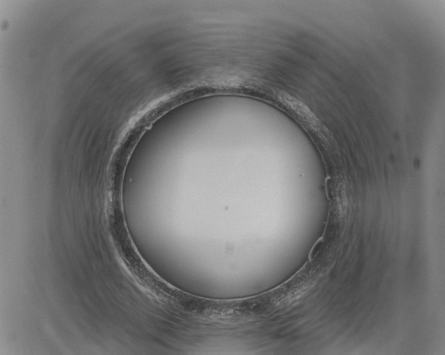 X0000080670728200612301359