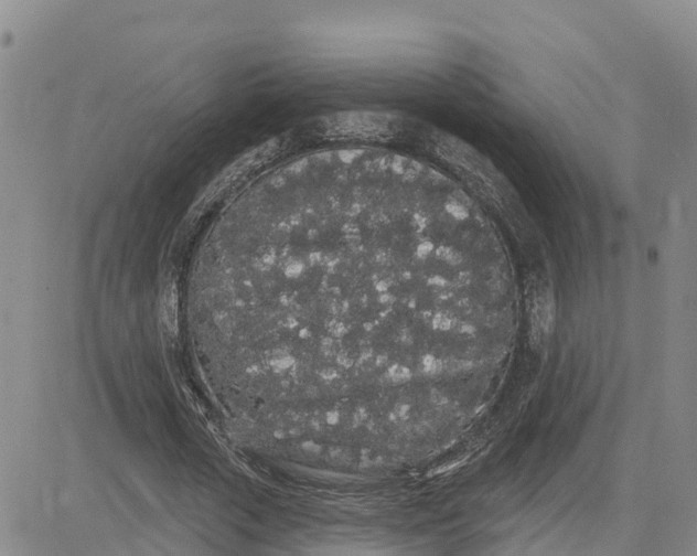 X0000080670729200612301359