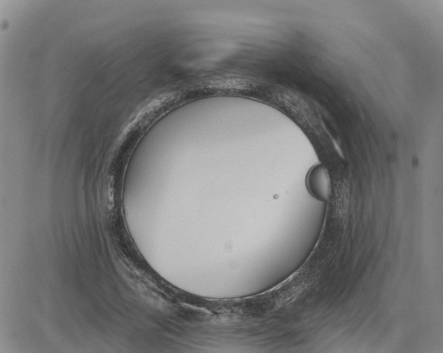 X0000080670731200612301359