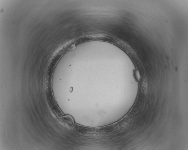 X0000080670732200612301359