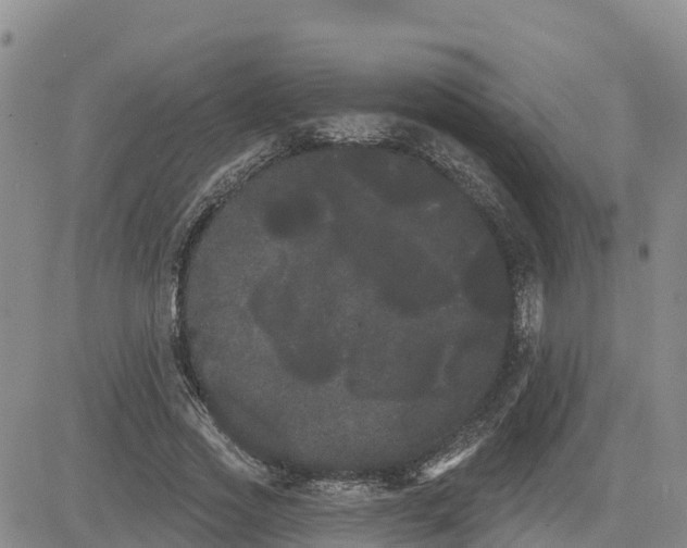 X0000080670733200612301359