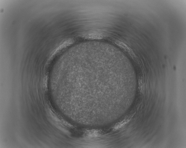 X0000080670735200612301359