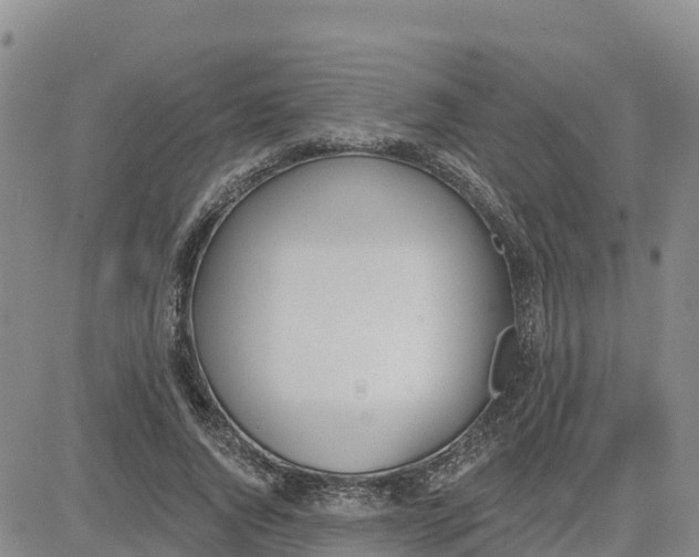 X0000080670736200612301359