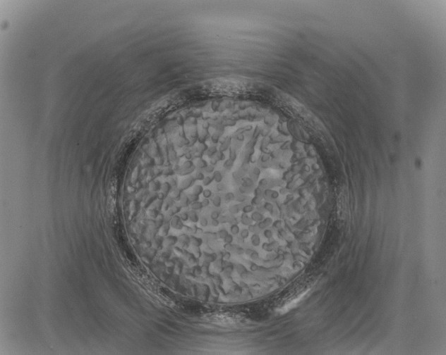 X0000080670737200612301359