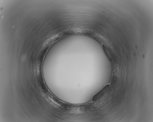 X0000080670740200612301359