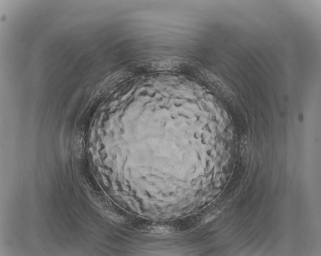 X0000080670741200612301359