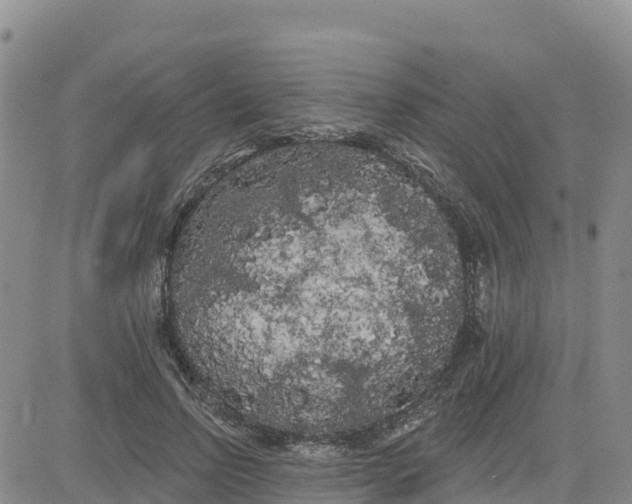 X0000080670742200612301359