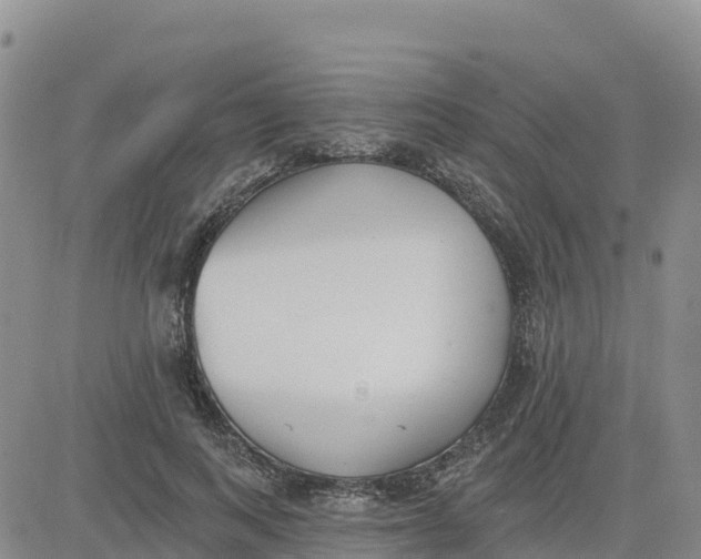 X0000080670743200612301359