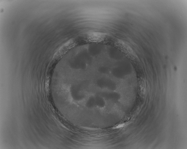 X0000080670745200612301359