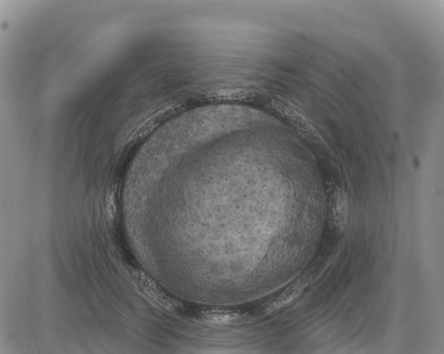 X0000080670746200612301359