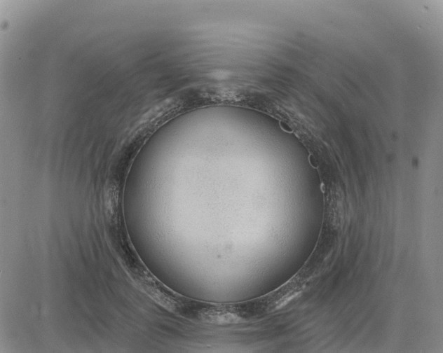 X0000080670747200612301359