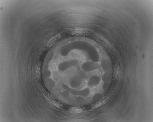 X0000080670749200612301359