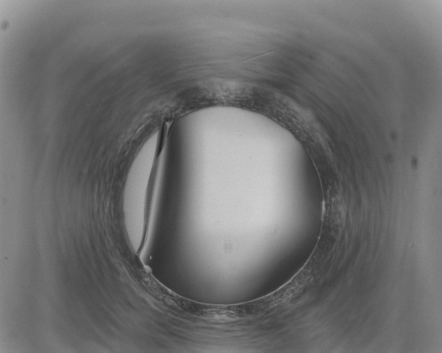 X0000080670750200612301400