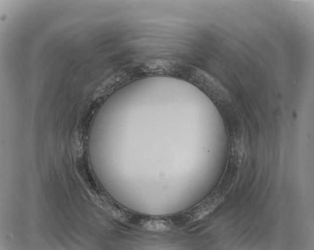 X0000080670751200612301400