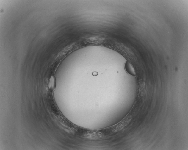 X0000080670752200612301400