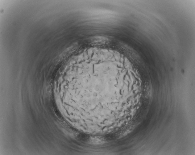 X0000080670753200612301400