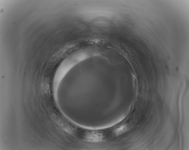 X0000080670754200612301400