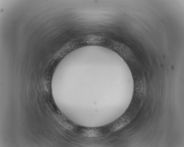 X0000080670755200612301400