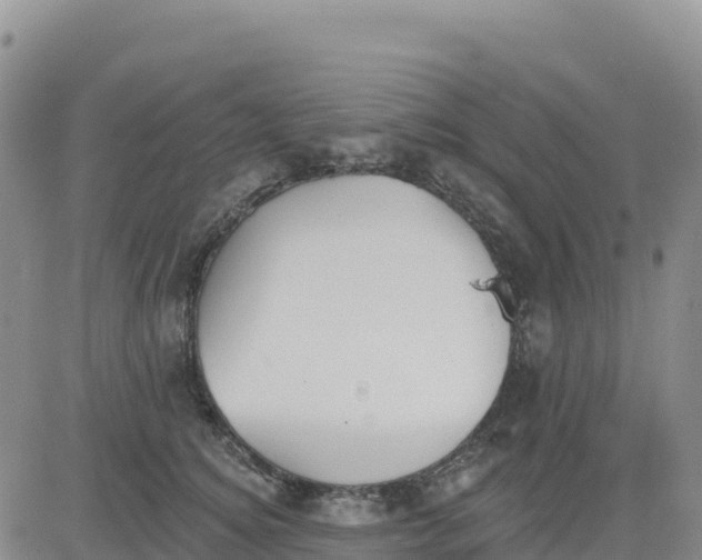 X0000080670756200612301400