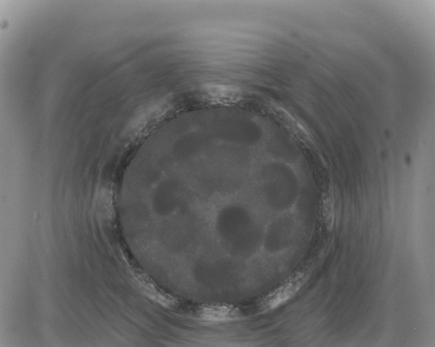 X0000080670757200612301400