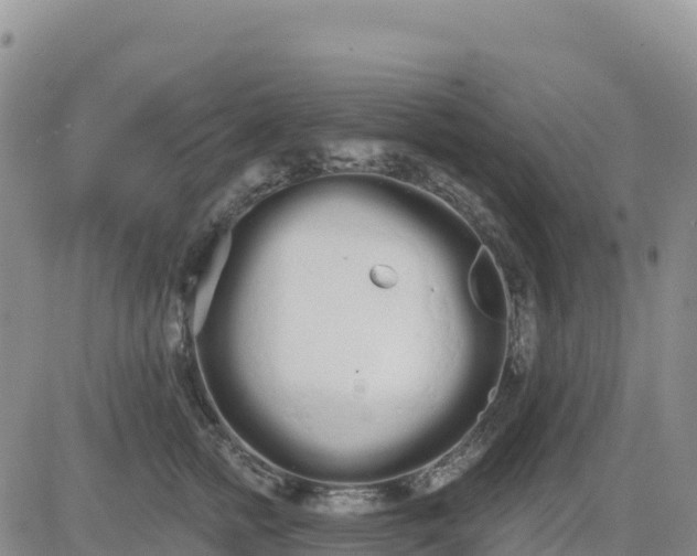 X0000080670758200612301400