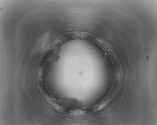 X0000080670759200612301400