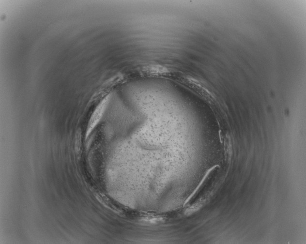 X0000080670760200612301400