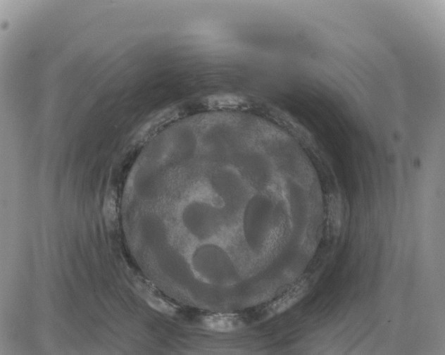 X0000080670761200612301400