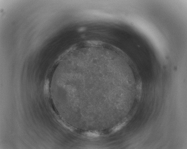 X0000080670765200612301400