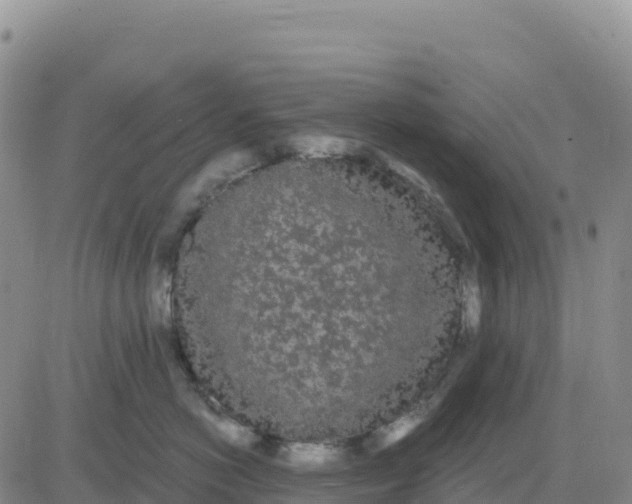 X0000080670766200612301400