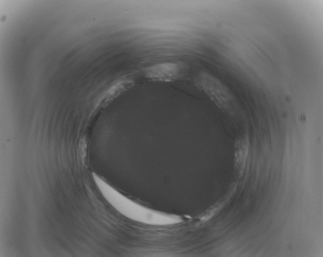 X0000080670767200612301400