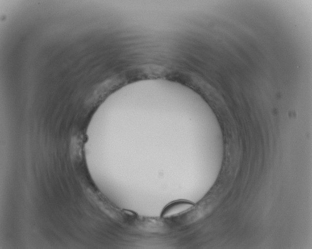 X0000080670768200612301400