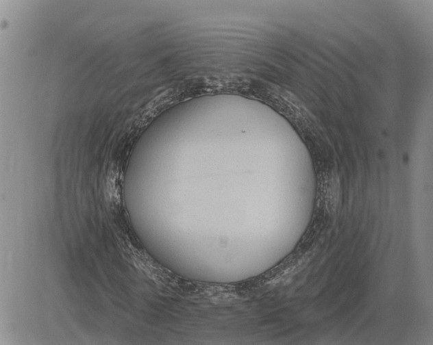 X0000080670770200612301359